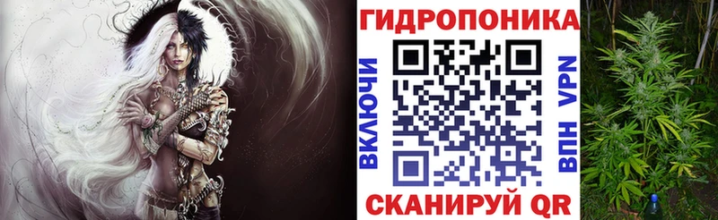 Как найти наркотики Струнино кракен КОКАИН ГАШИШ Галлюциногенные грибы Мефедрон Конопля