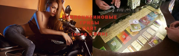 мескалин Арсеньев