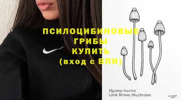 мескалин Арсеньев